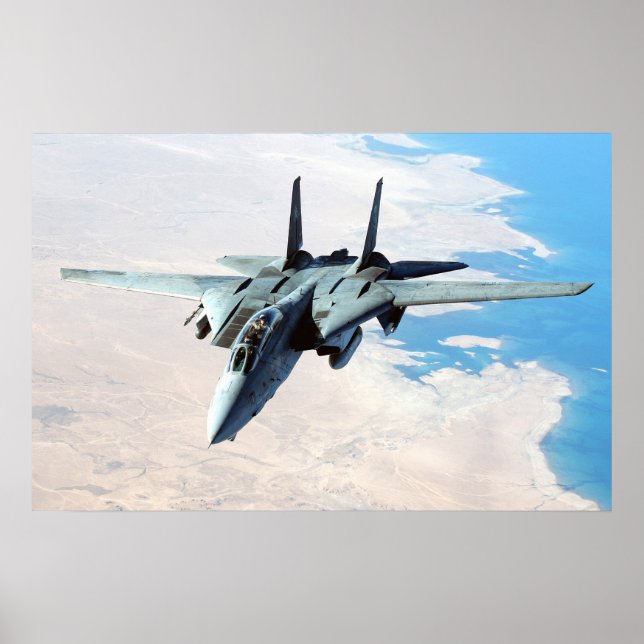 F-14 Tomcat Poster (Front)