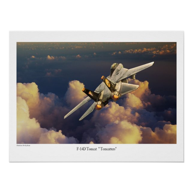 F-14 Tomcat  Poster (Front)