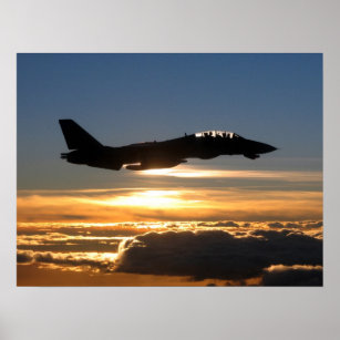 Cat Airplane Art Wall Decor Zazzle