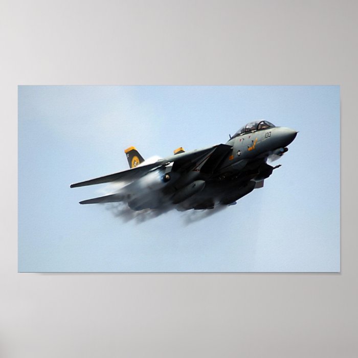 F 14D Tomcat Print