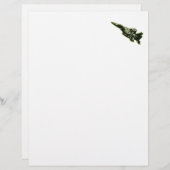 F-15 Eagle (Front/Back)