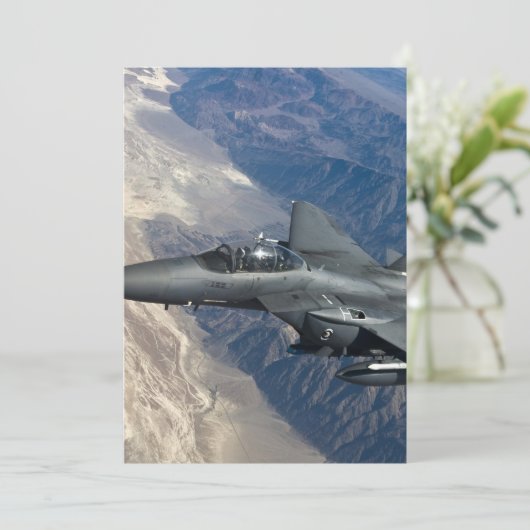 F-15 Strike Eagle (Standing Front)