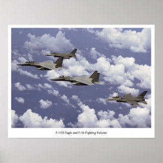 F-15D Eagle and F-16 Fighting Falcons Poster
