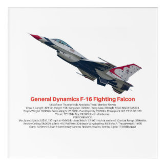F-16 Fighting Falcon Fighter Jet Acrylic Print
