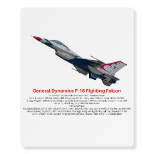 F-16 Fighting Falcon Fighter Jet