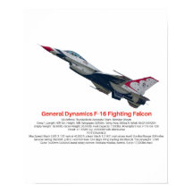 F-16 Fighting Falcon Fighter Jet