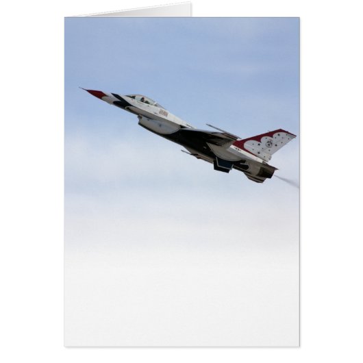 F-16 Thunderbird In Flight Cards (Front)