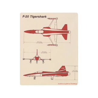 f-20 tigershark metal wall art