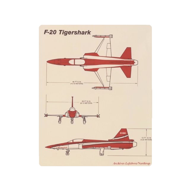 f-20 tigershark metal wall art (Front)