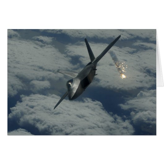 F-22 (Front Horizontal)