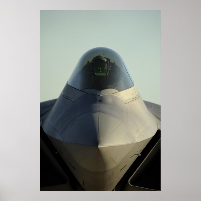 F-22 Raptor Poster (Front)