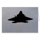 F-22 STEALTH FIGHTER (Front Horizontal)