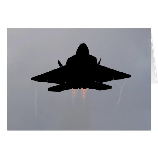 F-22 STEALTH FIGHTER CARDS (Front Horizontal)