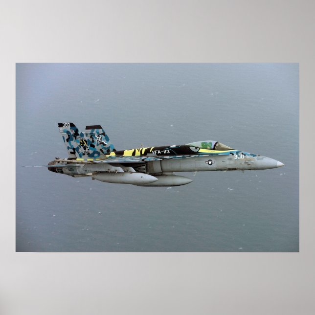 F/A-18C Hornet Poster (Front)