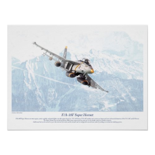 F/A-18F Hornet Poster