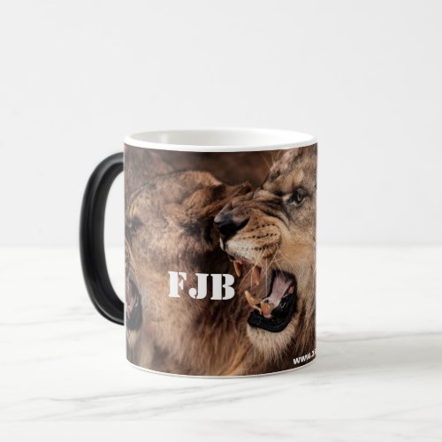 Fck Joe Biden Mug