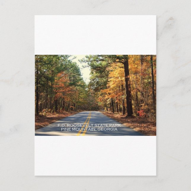 F.D. ROOSEVELT STATE PARK - PINE MOUNTAIN, GEORGIA POSTCARD (Front)