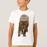 F is for Fossa  T-Shirt