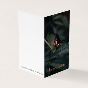 F. Scott Fitzgerald quote