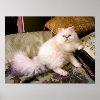 faaaabuuuuloussss!!!! poster