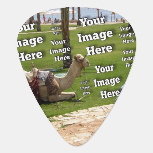 Fab Fun Vacation Create Your Own Guitar Pick