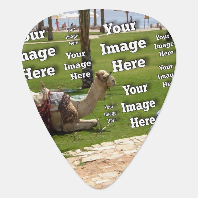 Fab Fun Vacation Create Your Own Guitar Pick (Front)