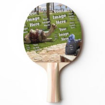 Fab Fun Vacation Create Your Own