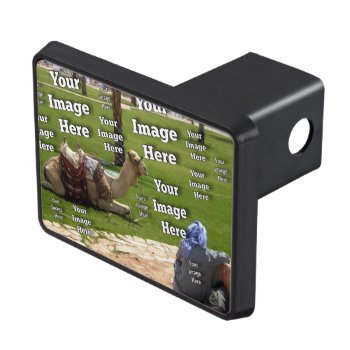 Fab Fun Vacation Create Your Own Tow Hitch Cover by Zazzimsical at Zazzle