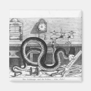 Fable of the Snake and the Files Magnet