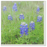 Fabric - Blue Bonnets