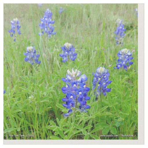 Fabric - Blue Bonnets
