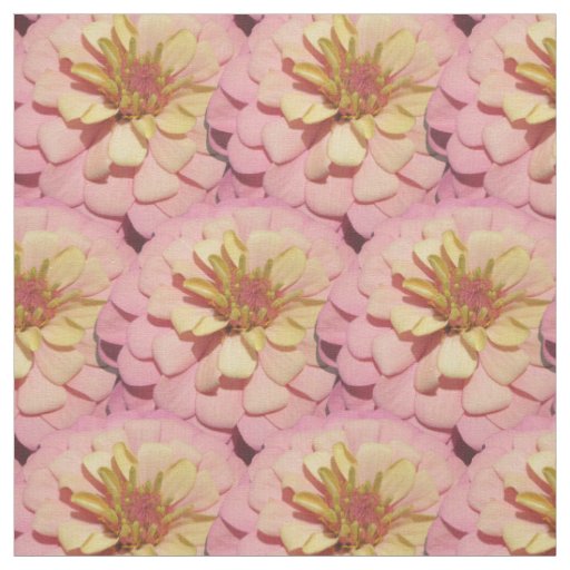 Fabric - Fat Quarter - Sherbet Zinnia