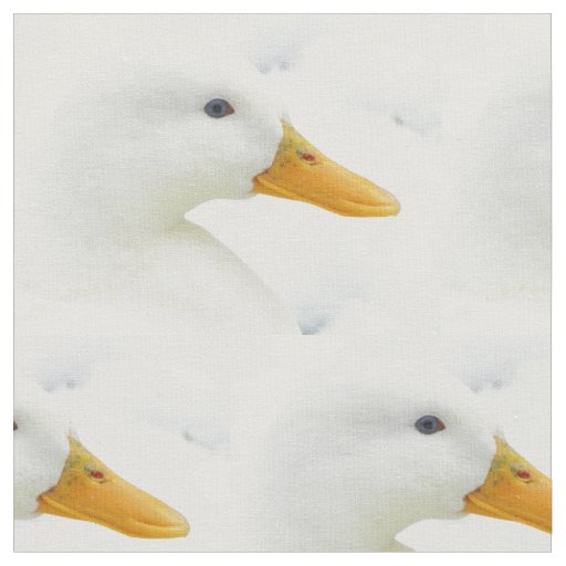 FabricWhite Duck Fabric