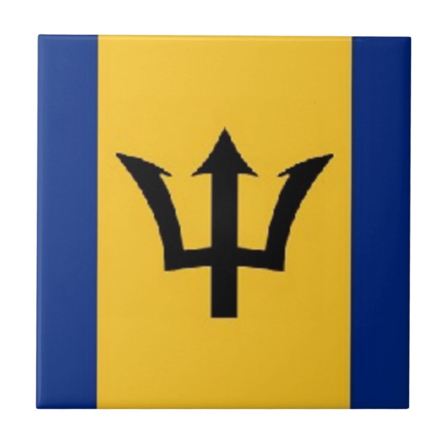 fabulous barbados tile (Front)