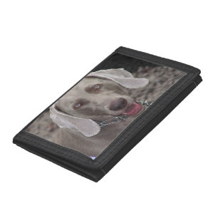 Fabulous Chocolate Weimaraner Trifold Wallet