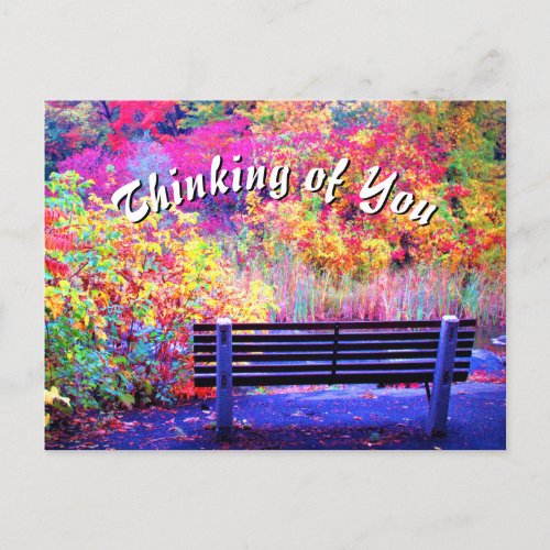 Fabulous Fall Colors Bench Autumn Leaves Scenic Postcard