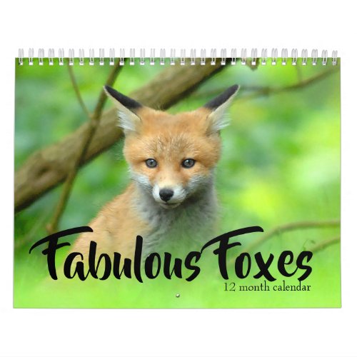 Fabulous Foxes 2024 Calendar