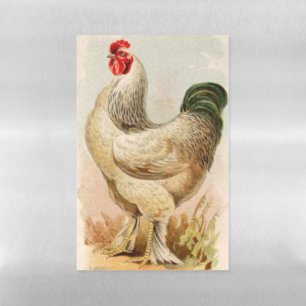 Fabulous Rooster Dry Erase Magnetic Sheet