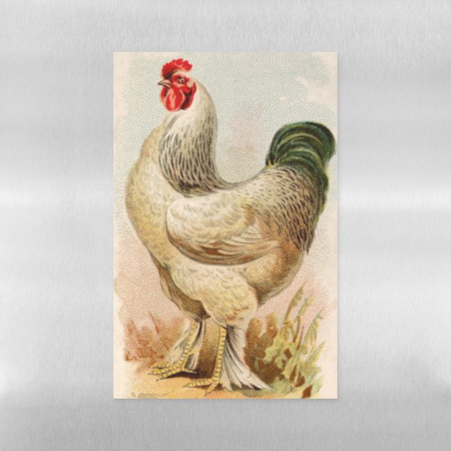 Fabulous Rooster Dry Erase Magnetic Sheet (Vertical)
