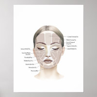 Face Anatomy Beauty Art