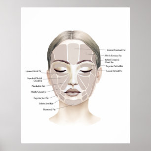 Face Anatomy Print 1 
