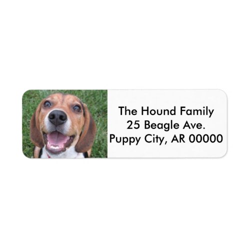 Face Beagle Label