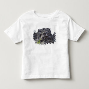Face detail of the West Gate-Tower Gopuram), Toddler T-shirt