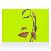 Face Flower Illusion (Inside Horizontal (Top))