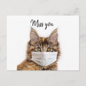 Face Mask On Maine Coon Cat Postcard by deemac1 at Zazzle