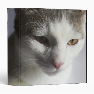 Face of a cat 3 ring binder