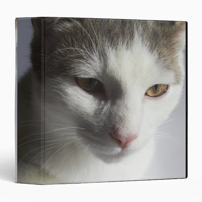 Face of a cat 3 ring binder (Front/Spine)