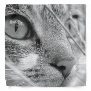 Face of a Cat Bandana