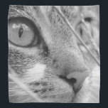 Face of a Cat Bandana<br><div class="desc">Face of a Cat ... On many products.</div>