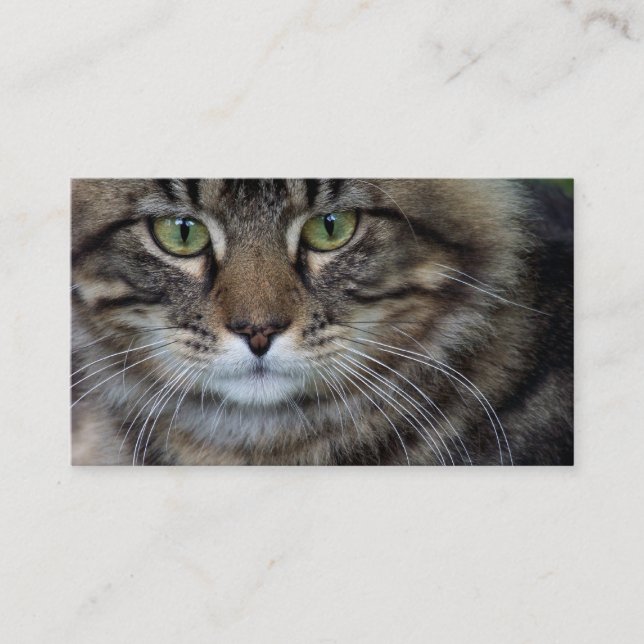 Face of a Feline (Cat) Business Cards (Front)